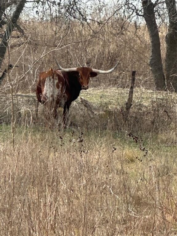 200 acres in Hill County - photo 35