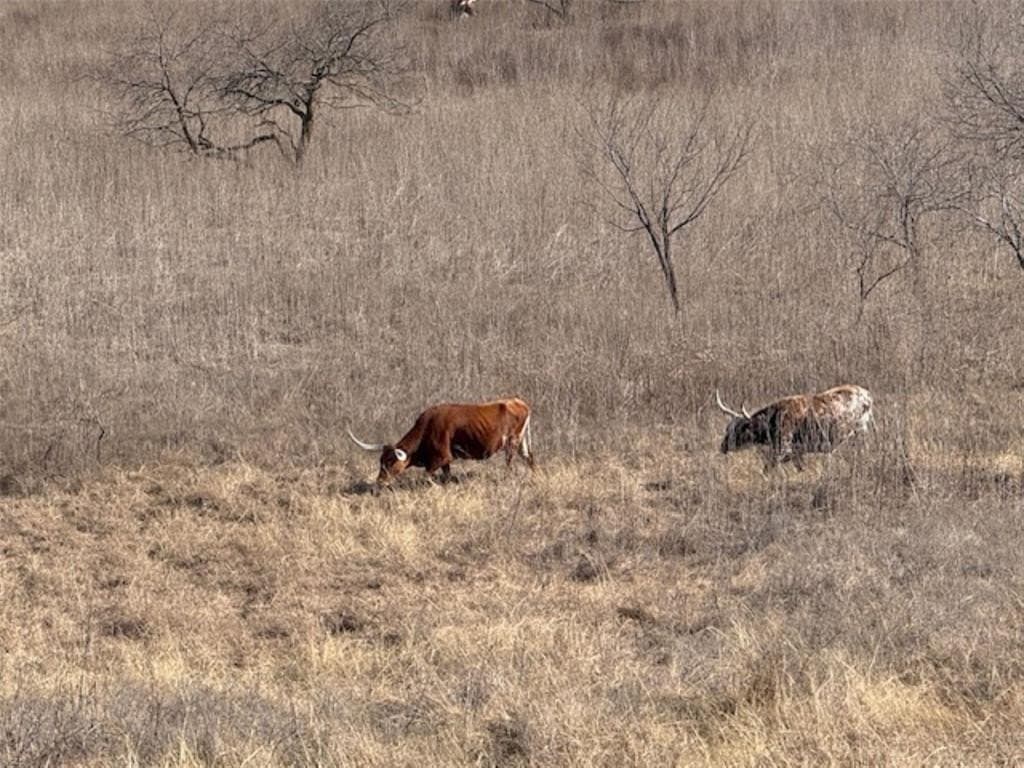 200 acres in Hill County - photo 29