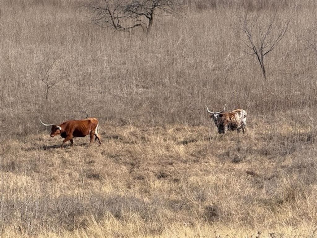 200 acres in Hill County - photo 30