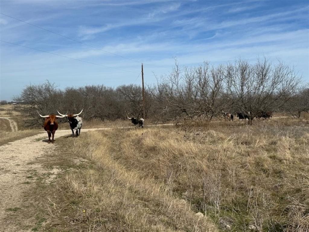 200 acres in Hill County - photo 32