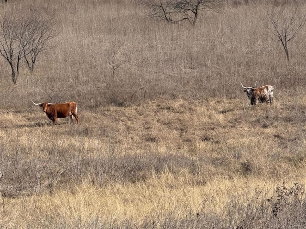 200 acres in Hill County - photo 31