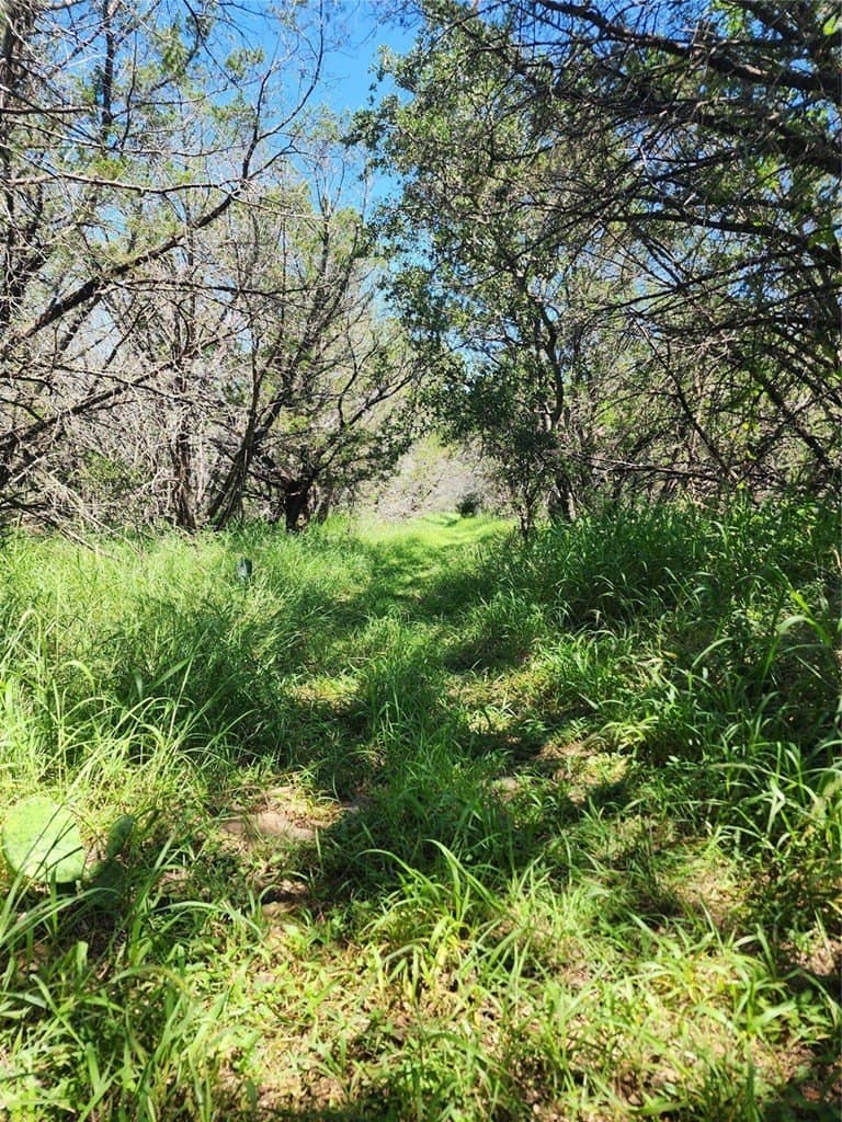 0.25 acres in Burnet County - photo 5