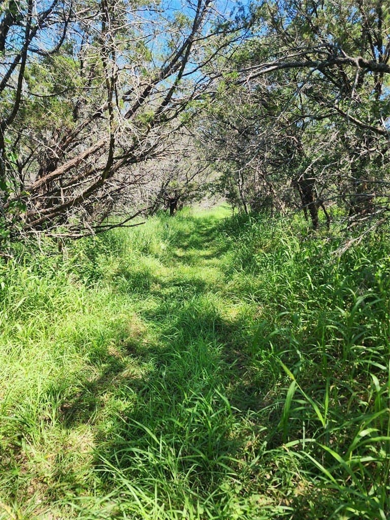 0.25 acres in Burnet County - photo 4