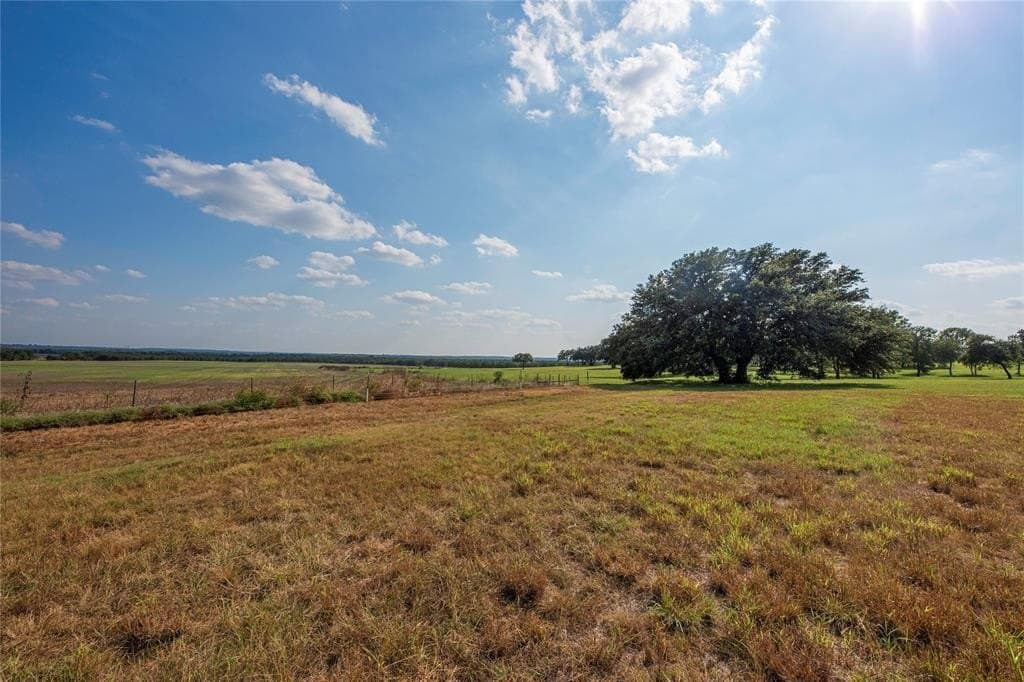 466.52 acres in Coryell County - photo 29