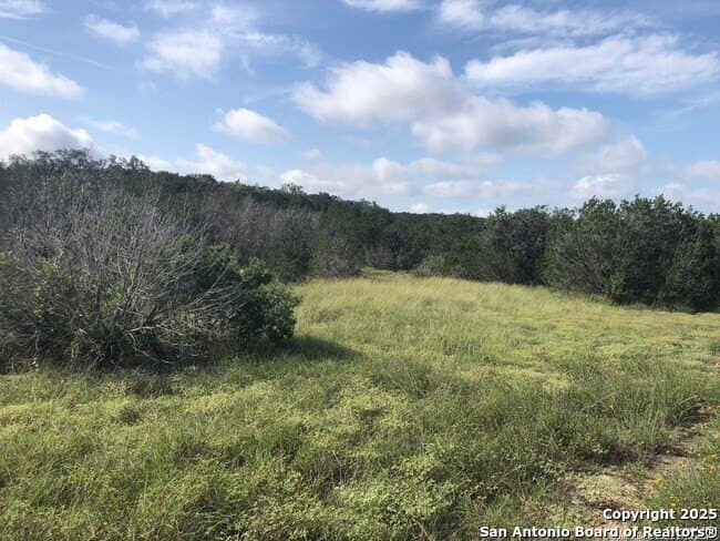 10 acres in Medina County - photo 5