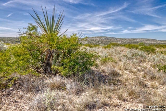112.7 acres in Val Verde County - photo 6