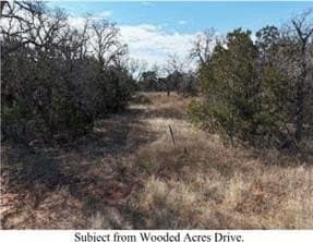 5 acres in Palo Pinto County - photo 3