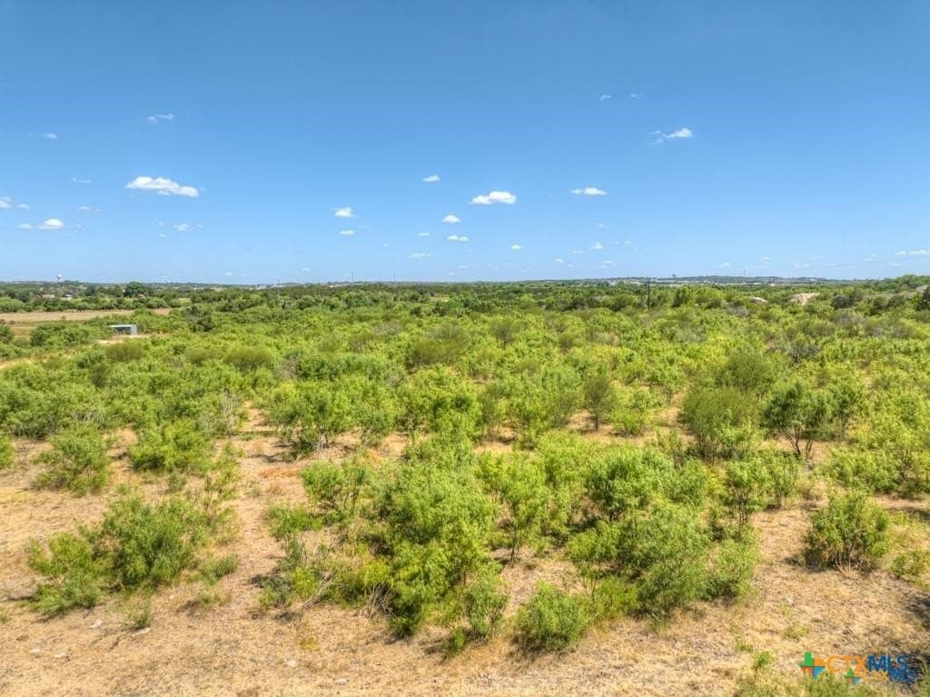 20.03 acres in Comal County - photo 16