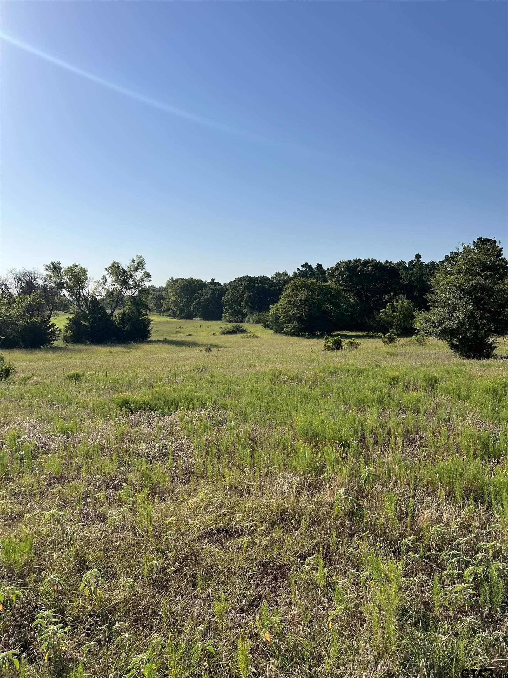 30 acres in Smith County - photo 5
