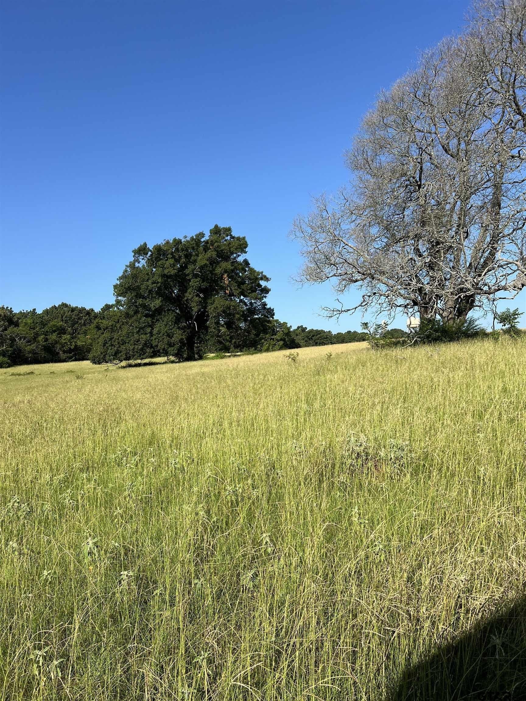 30 acres in Smith County - photo 15