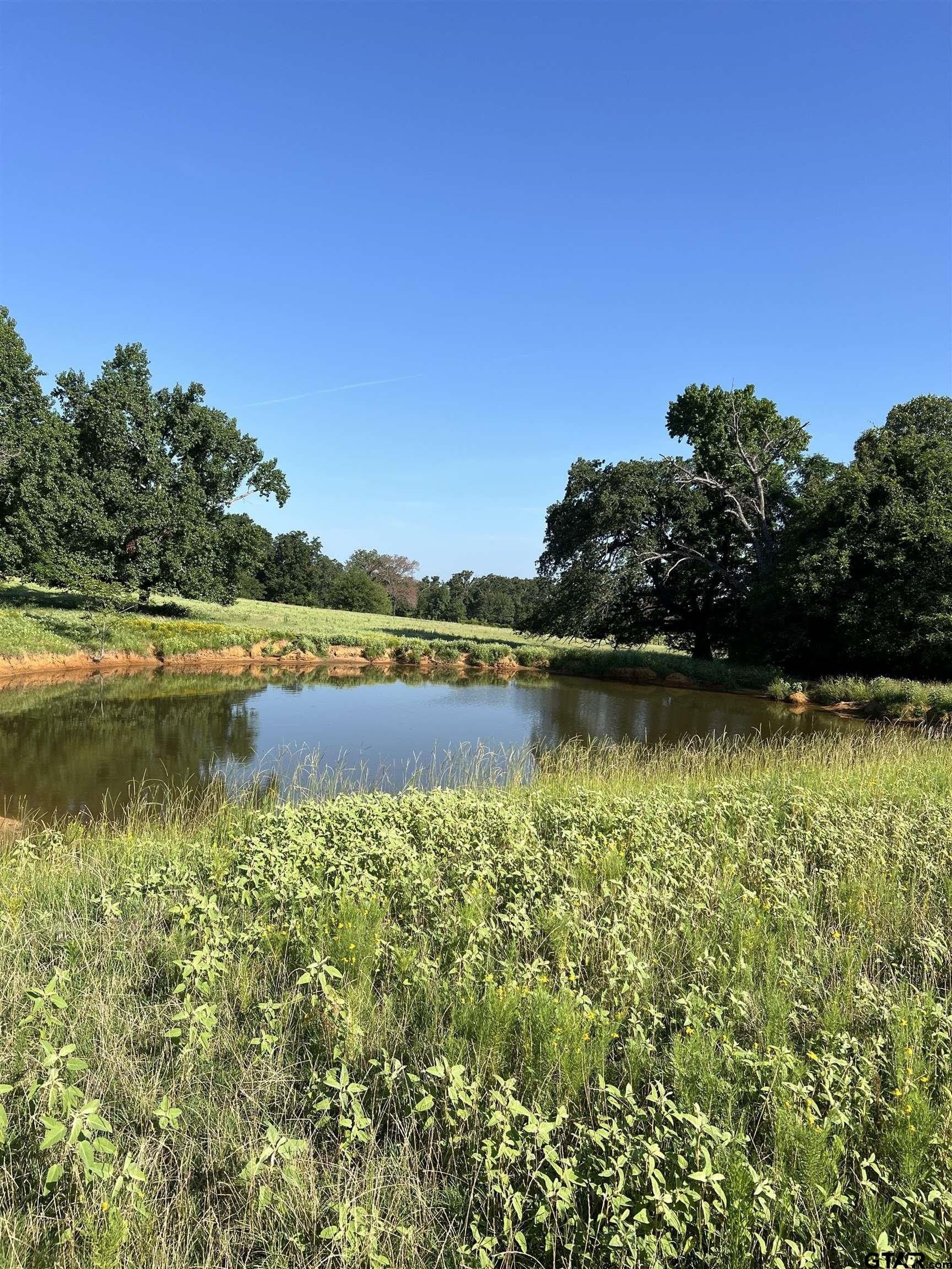 30 acres in Smith County - photo 18