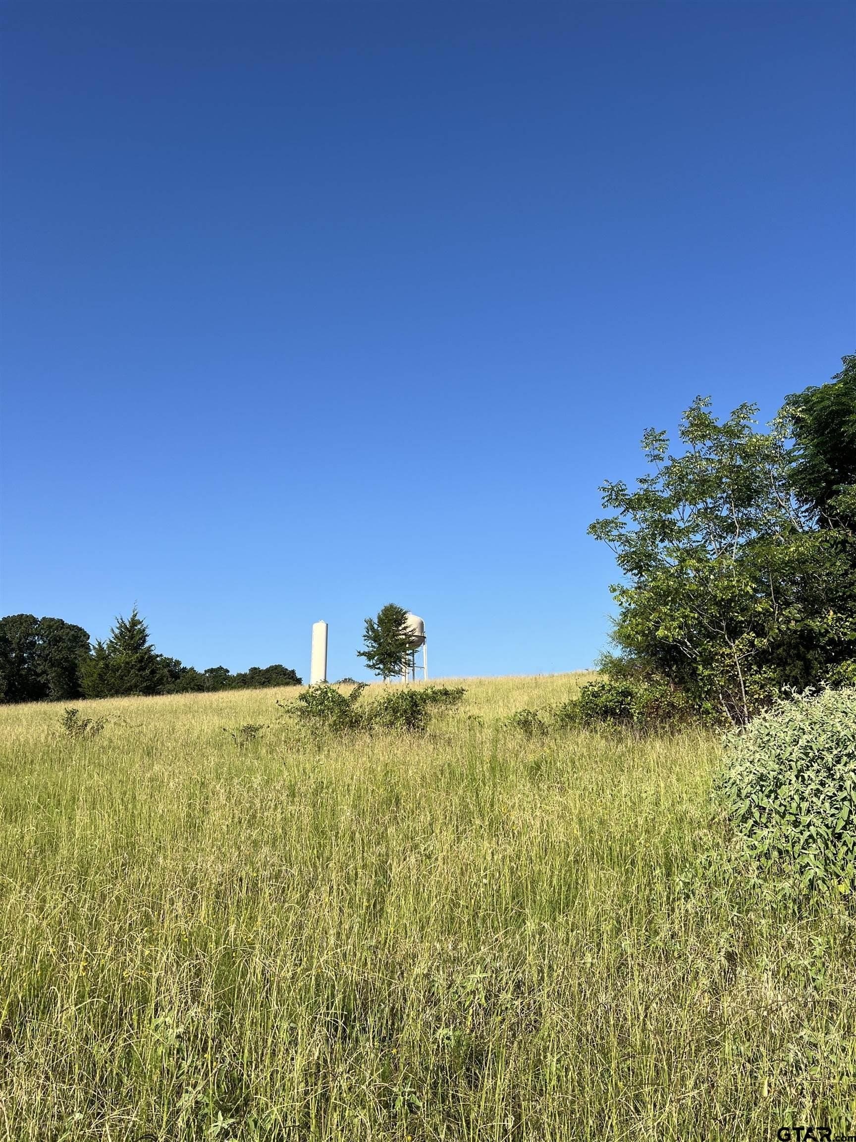 30 acres in Smith County - photo 4