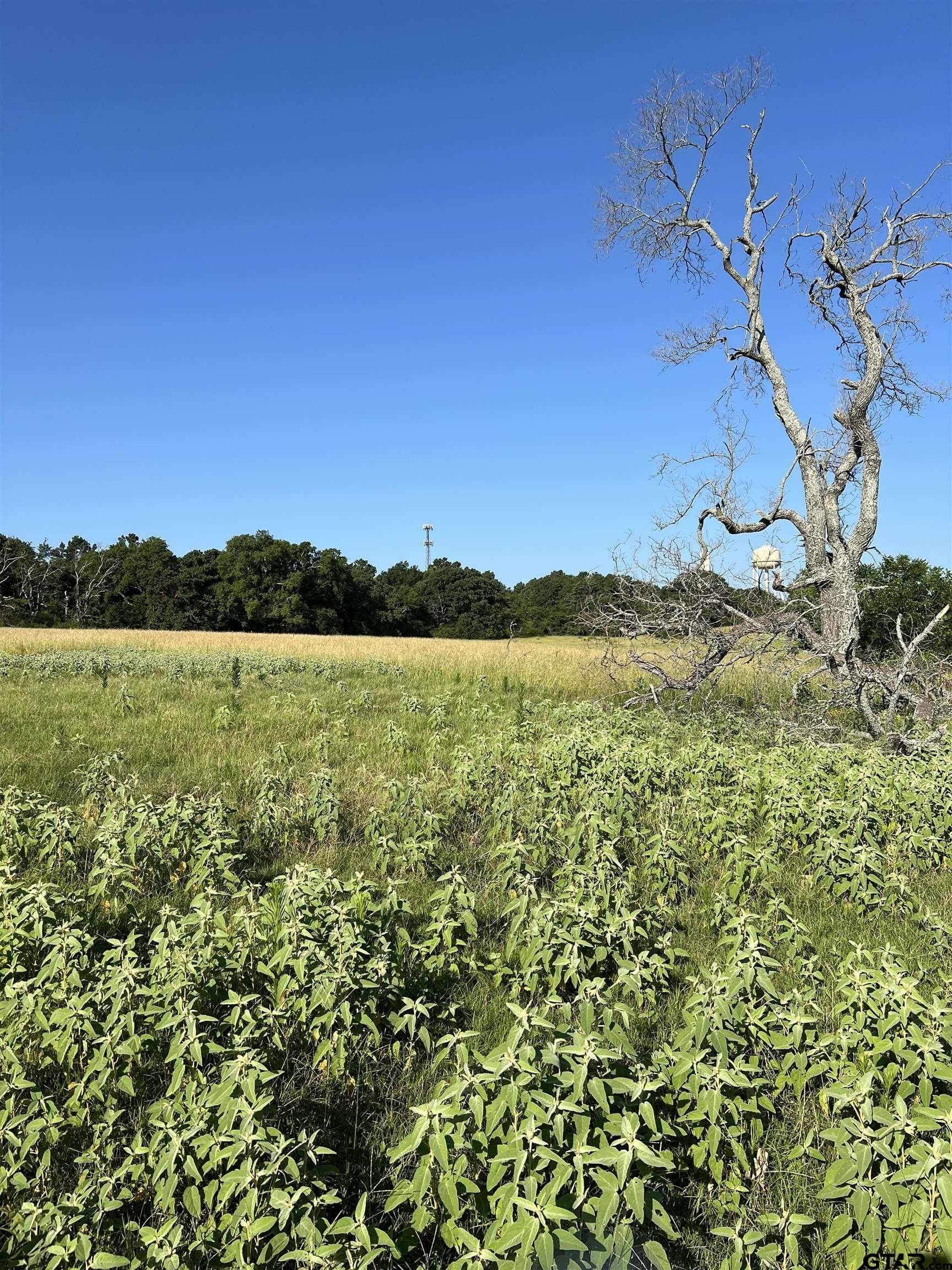 30 acres in Smith County - photo 12