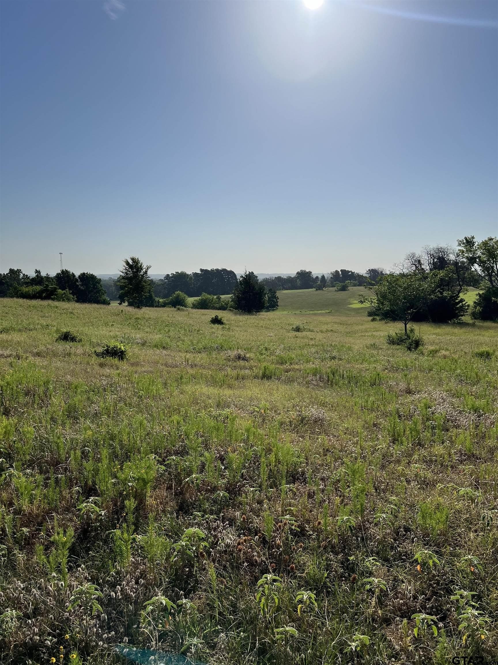 30 acres in Smith County - photo 6