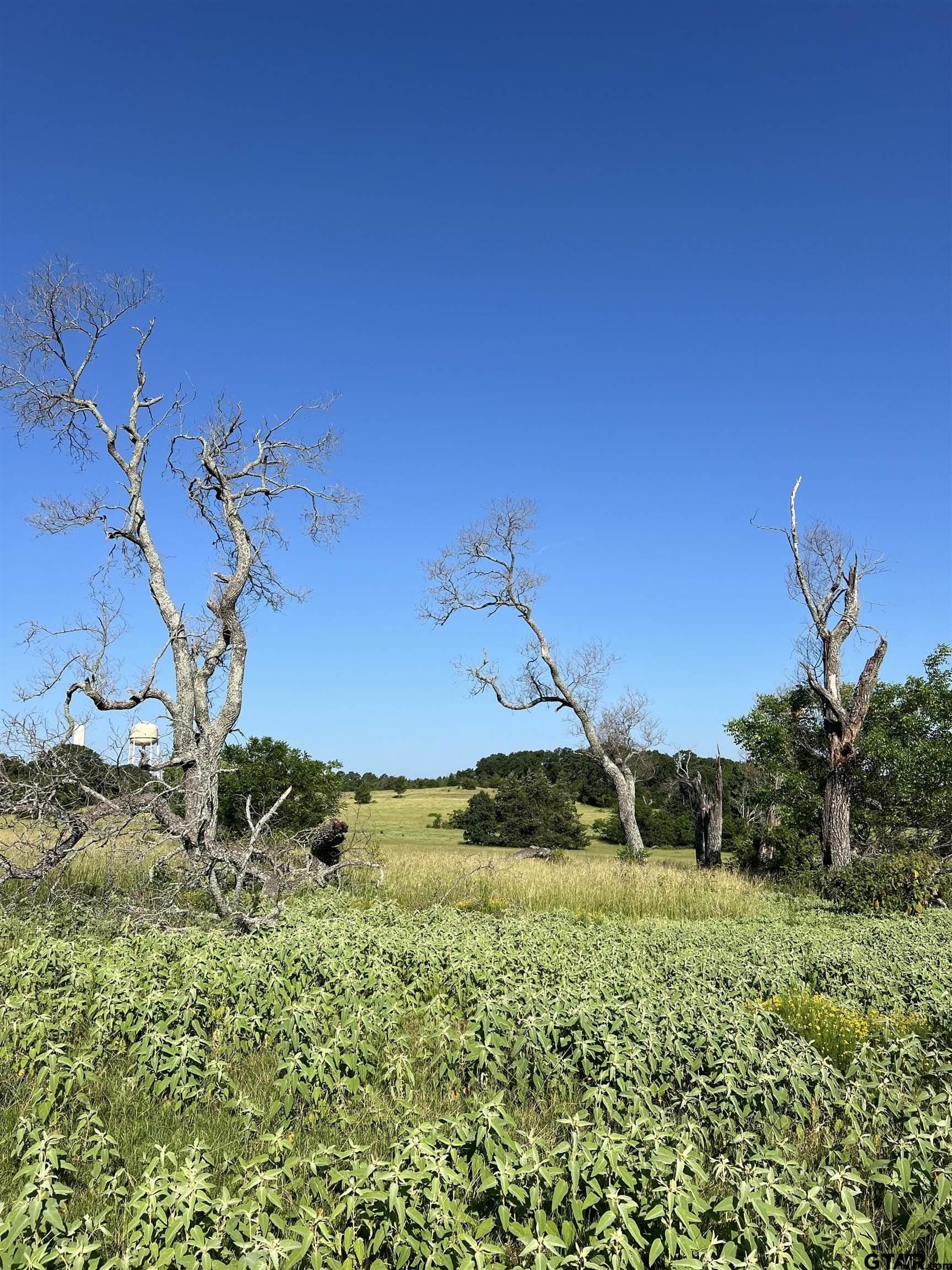 30 acres in Smith County - photo 14