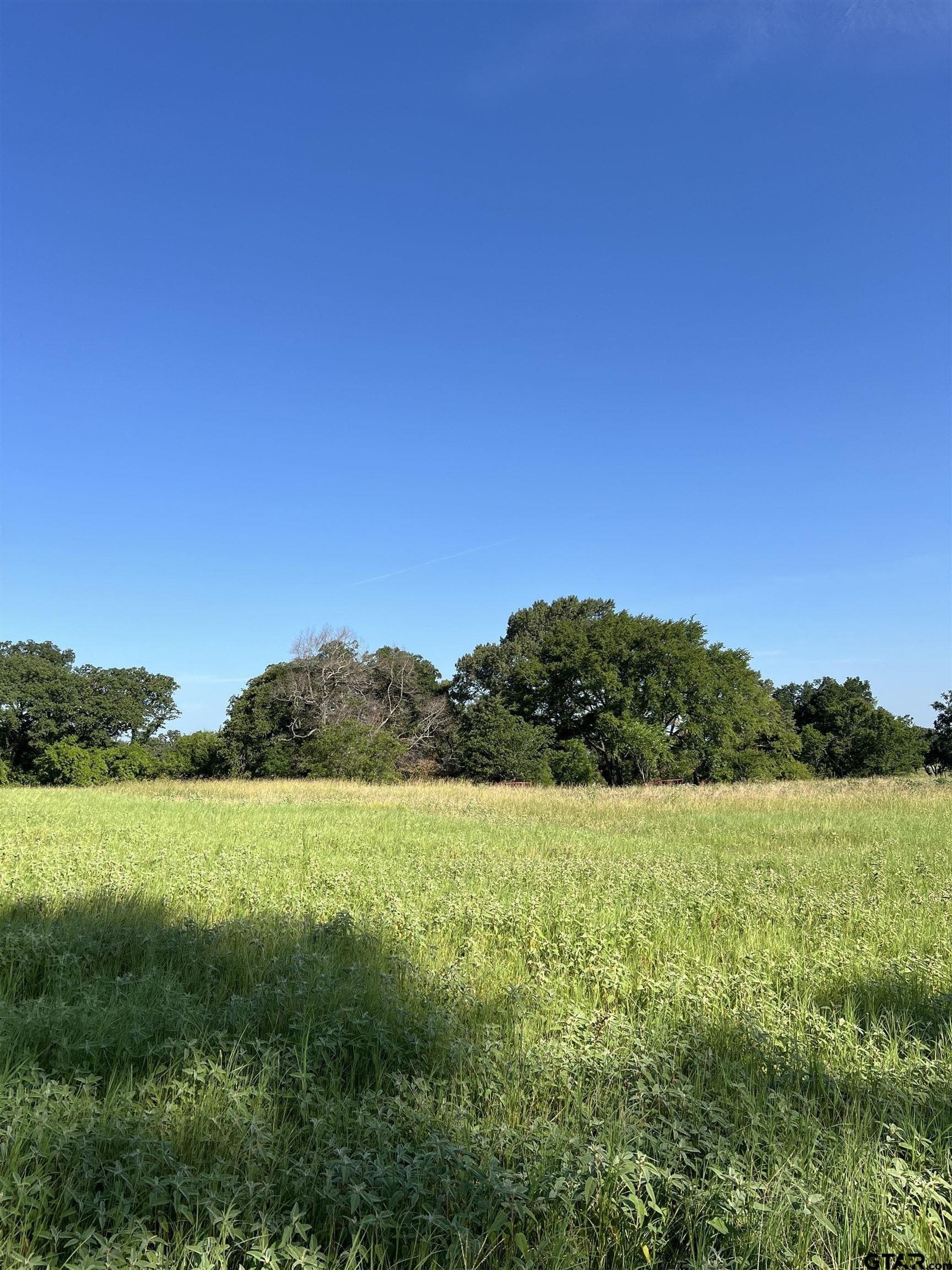 30 acres in Smith County - photo 17