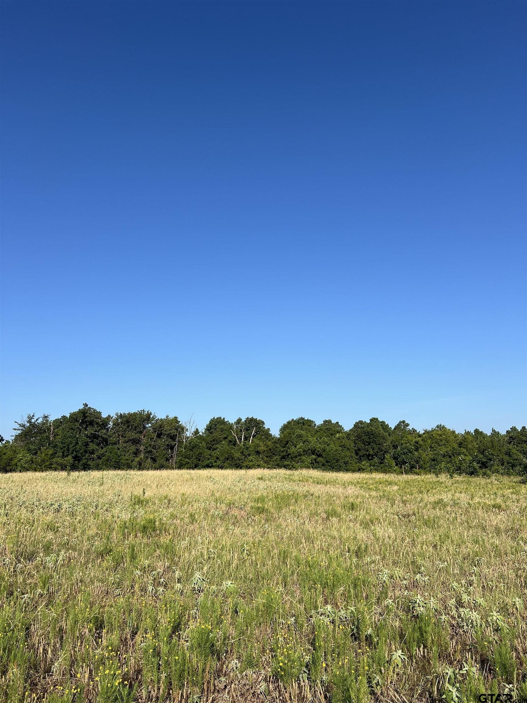 30 acres in Smith County - photo 8