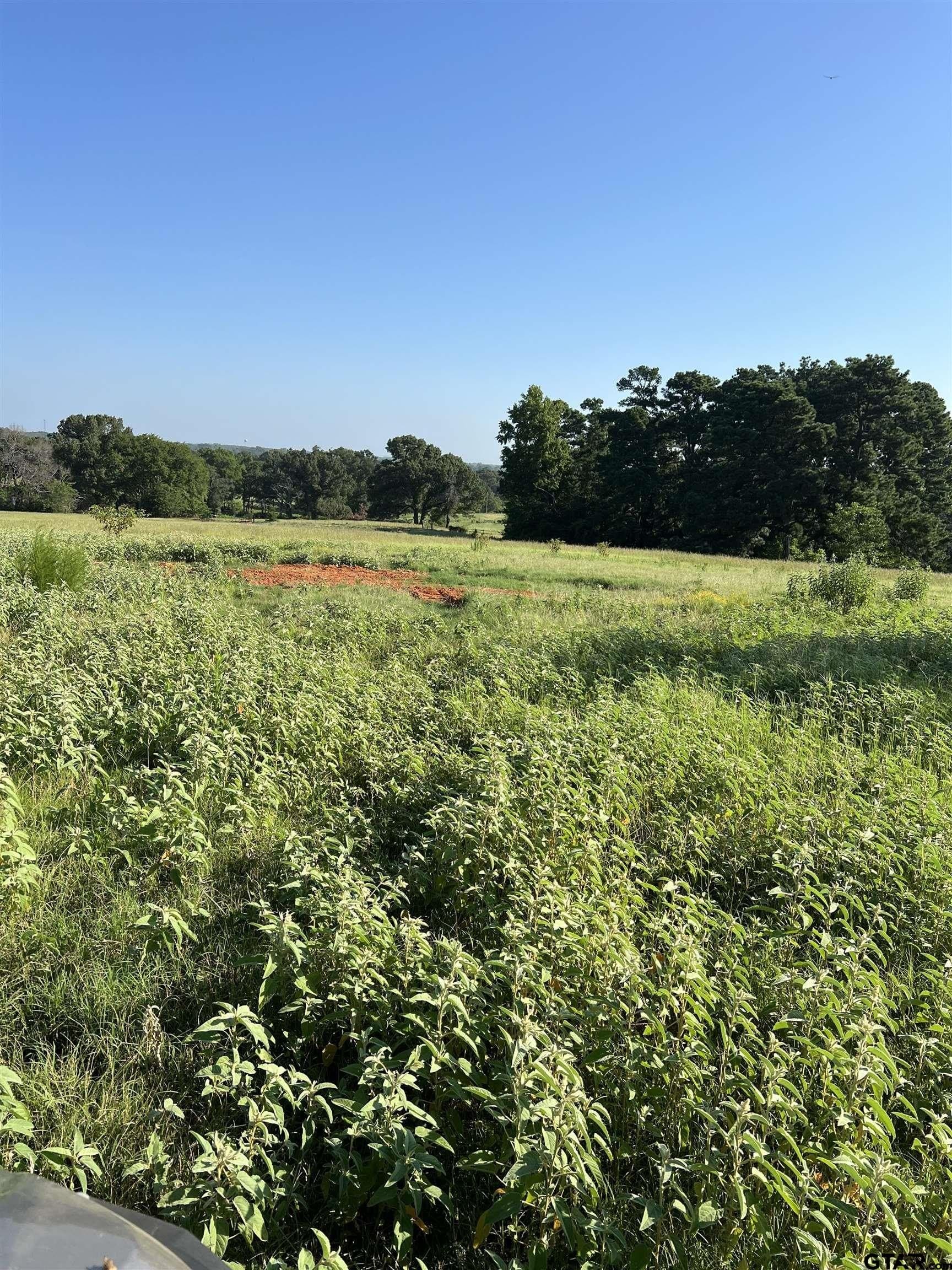30 acres in Smith County - photo 10