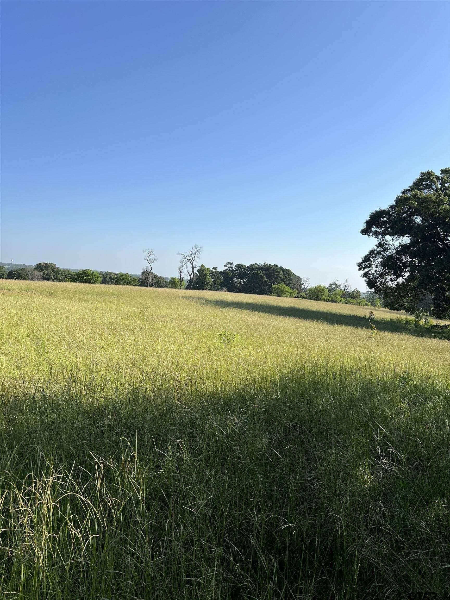 30 acres in Smith County - photo 9