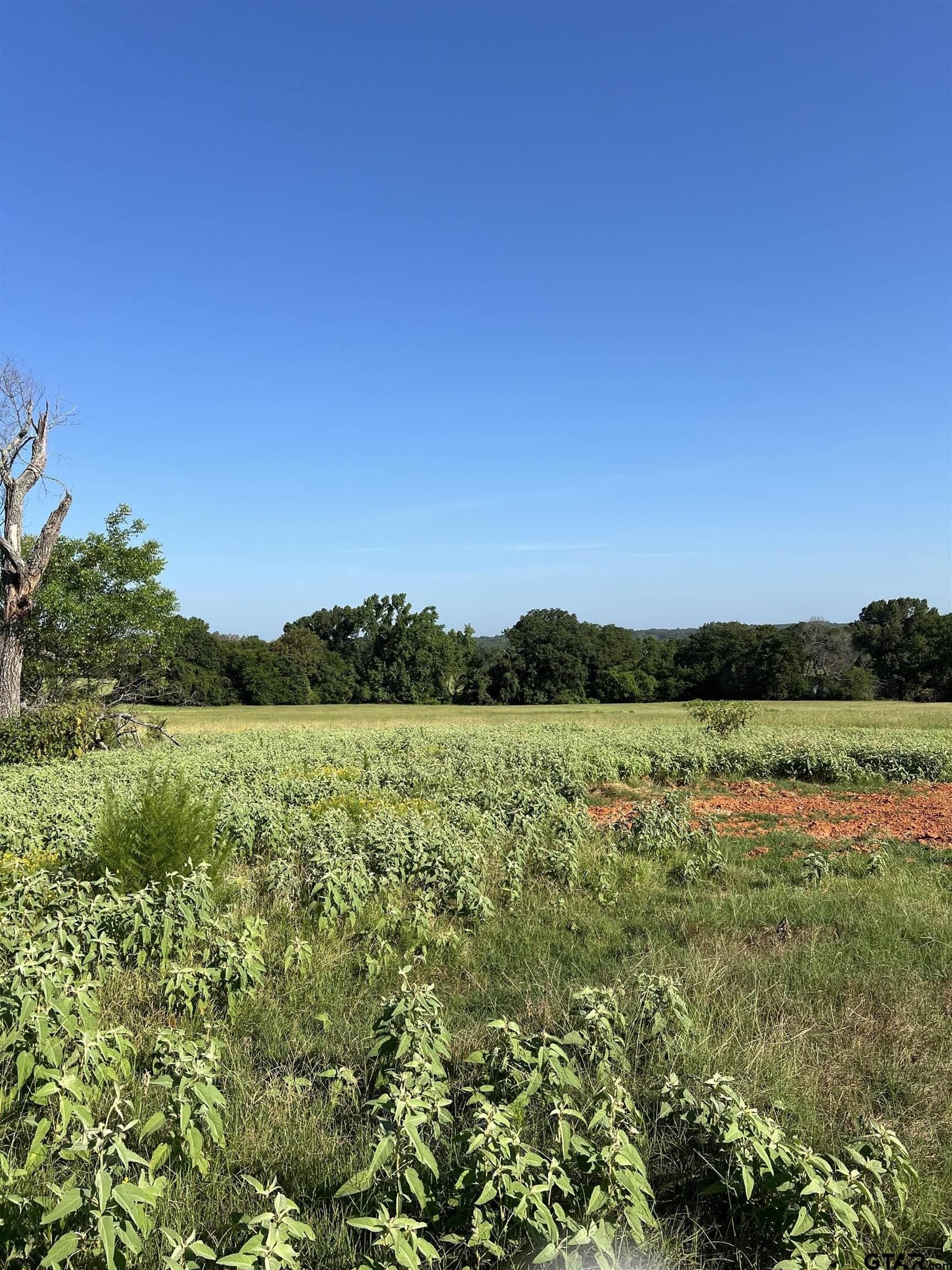 30 acres in Smith County - photo 13