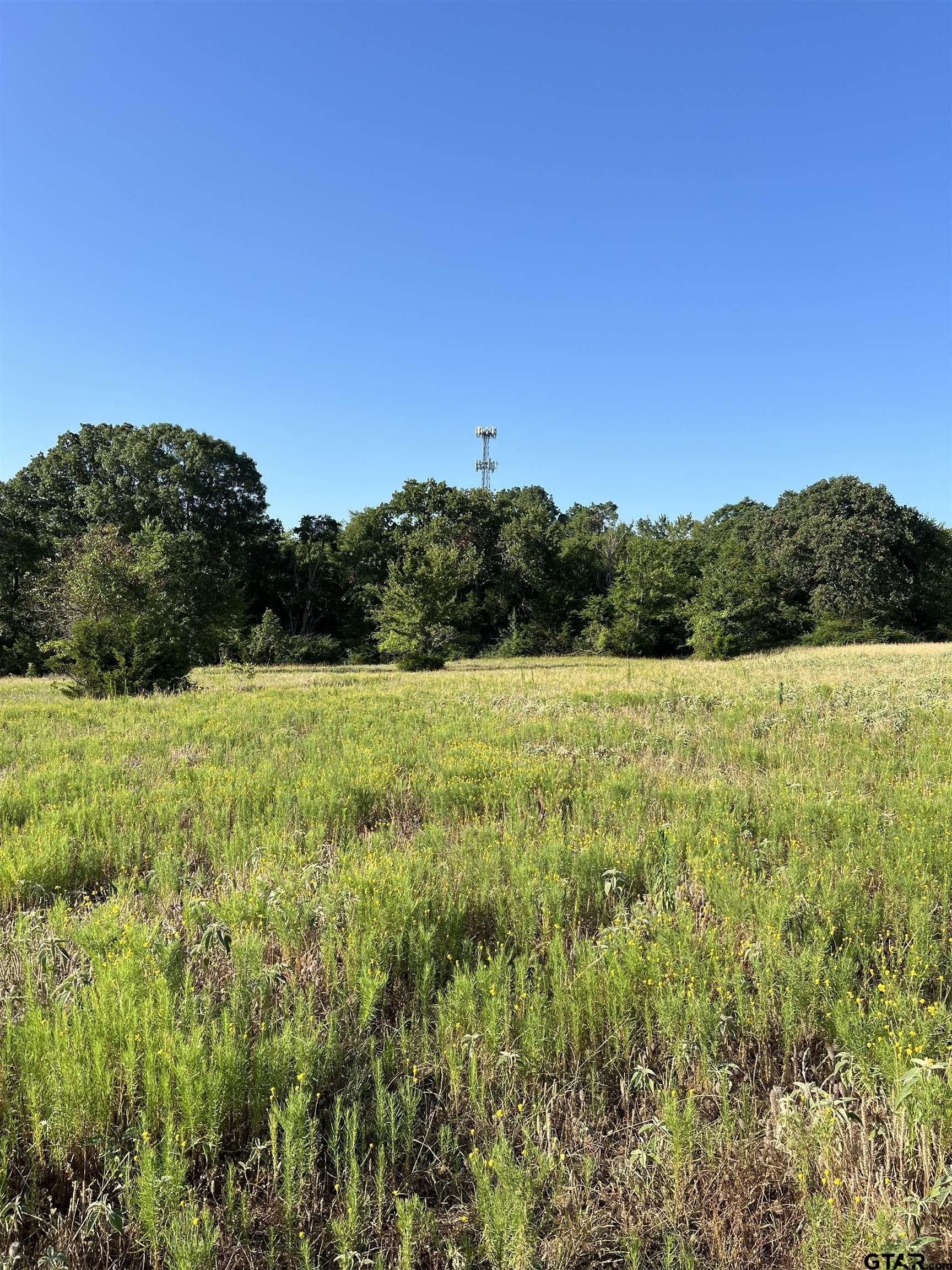 30 acres in Smith County - photo 7