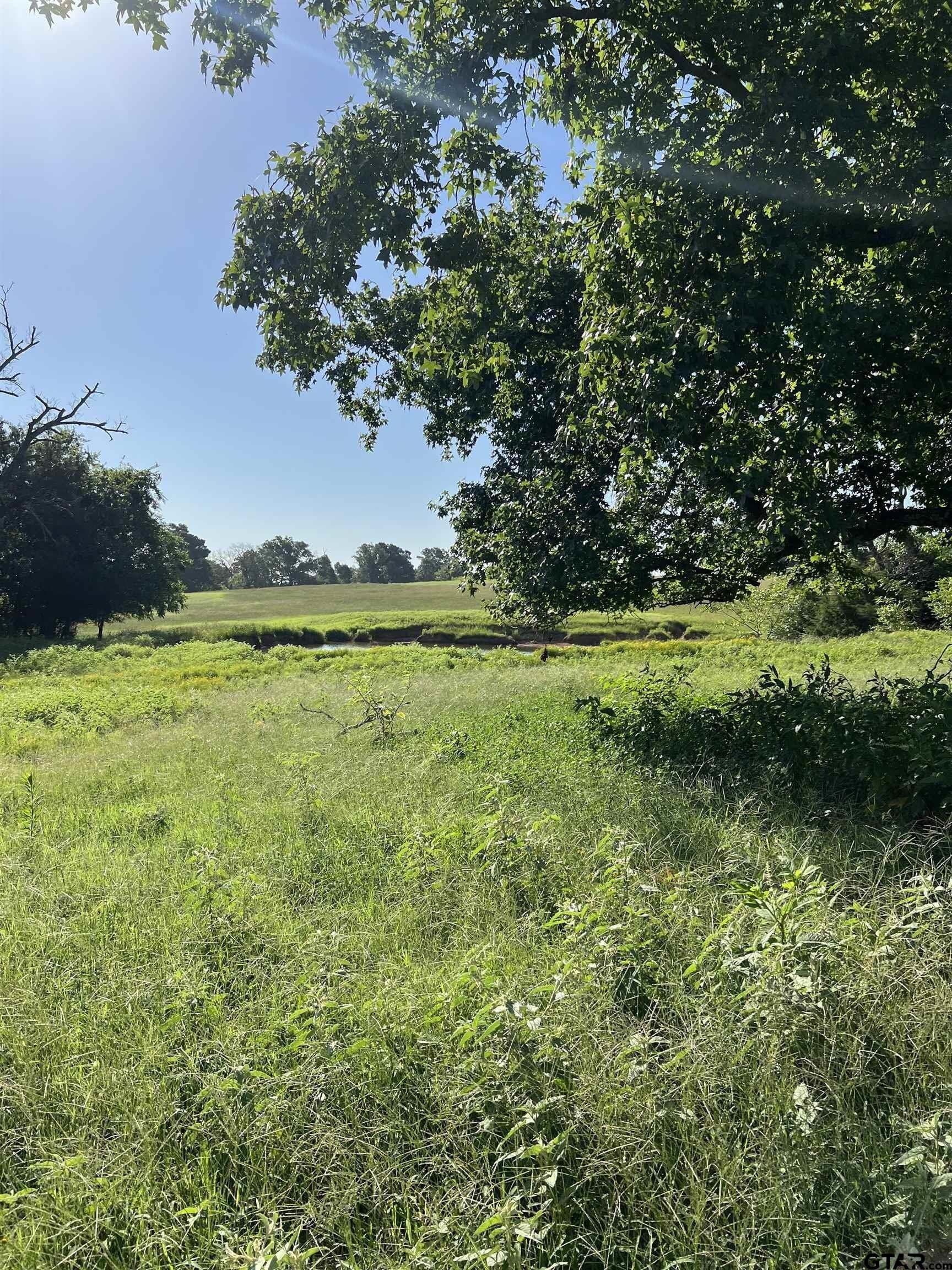30 acres in Smith County - photo 19