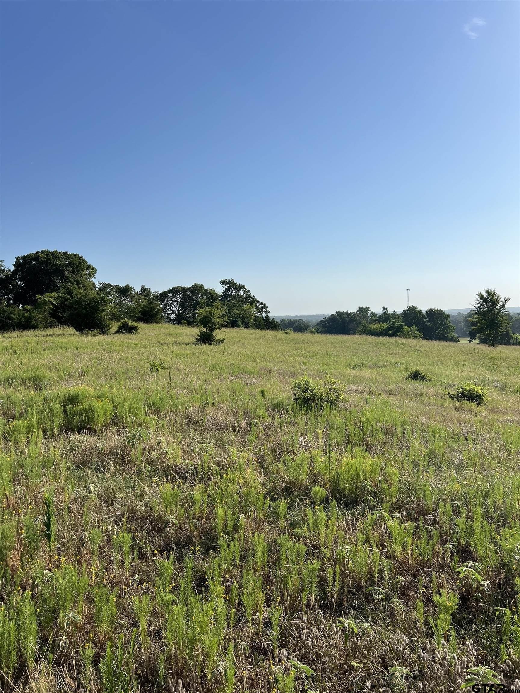 30 acres in Smith County - photo 2