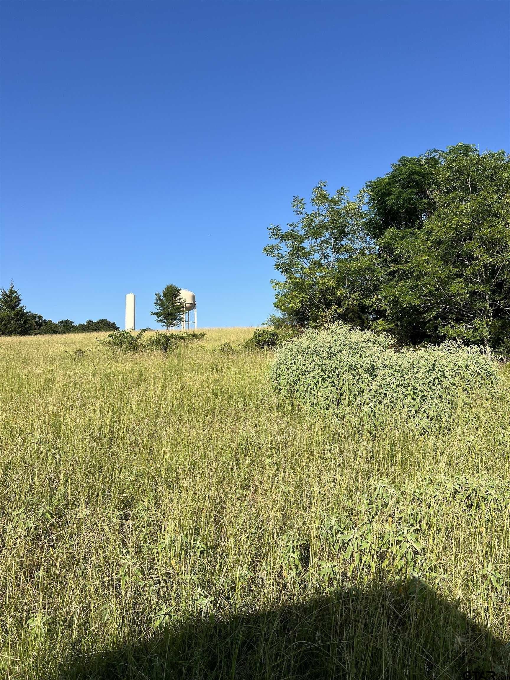 30 acres in Smith County - photo 3