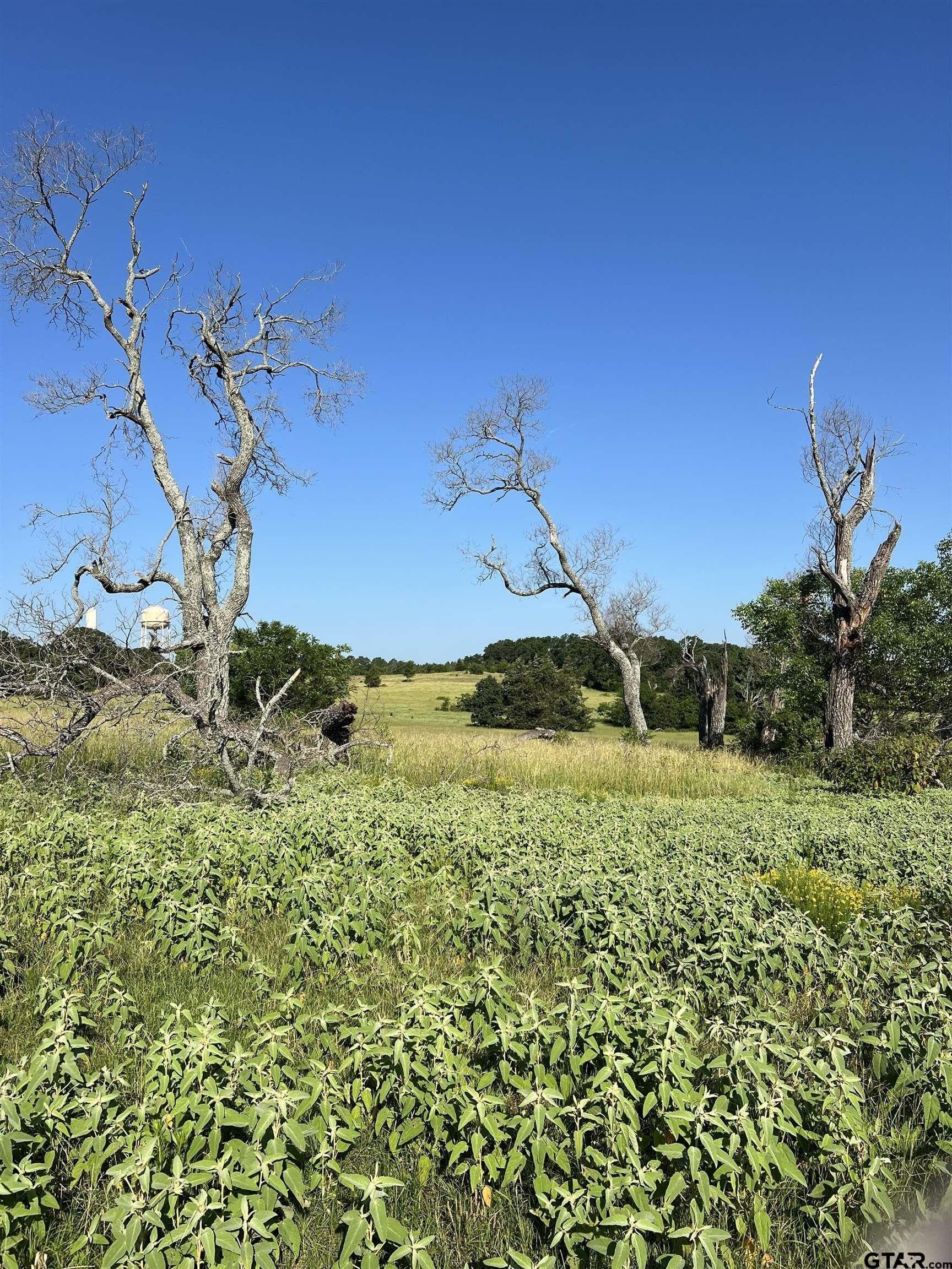 30 acres in Smith County - photo 11