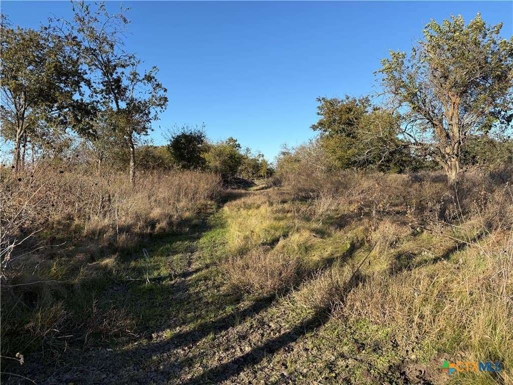 45.22 acres in Coryell County - photo 24