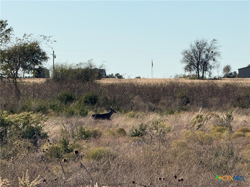 45.22 acres in Coryell County - photo 20