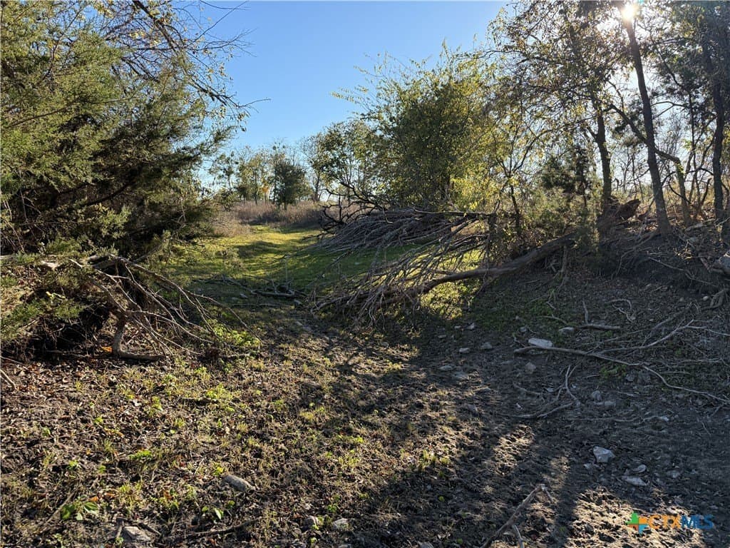 45.22 acres in Coryell County - photo 17
