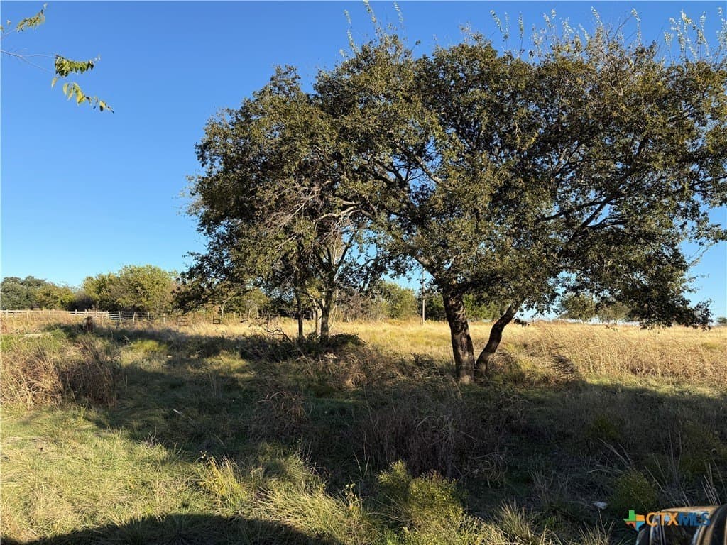 45.22 acres in Coryell County - photo 5