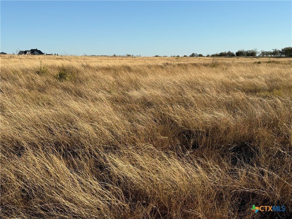 45.22 acres in Coryell County - photo 26