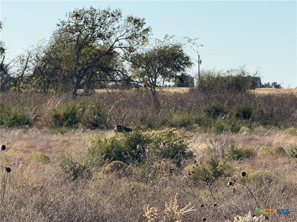 45.22 acres in Coryell County - photo 19