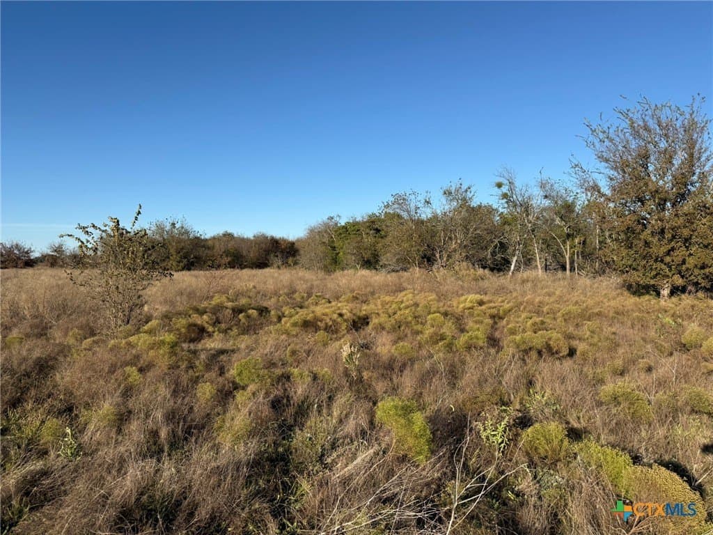 45.22 acres in Coryell County - photo 23