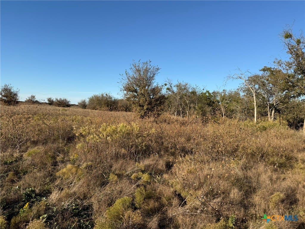 45.22 acres in Coryell County - photo 22