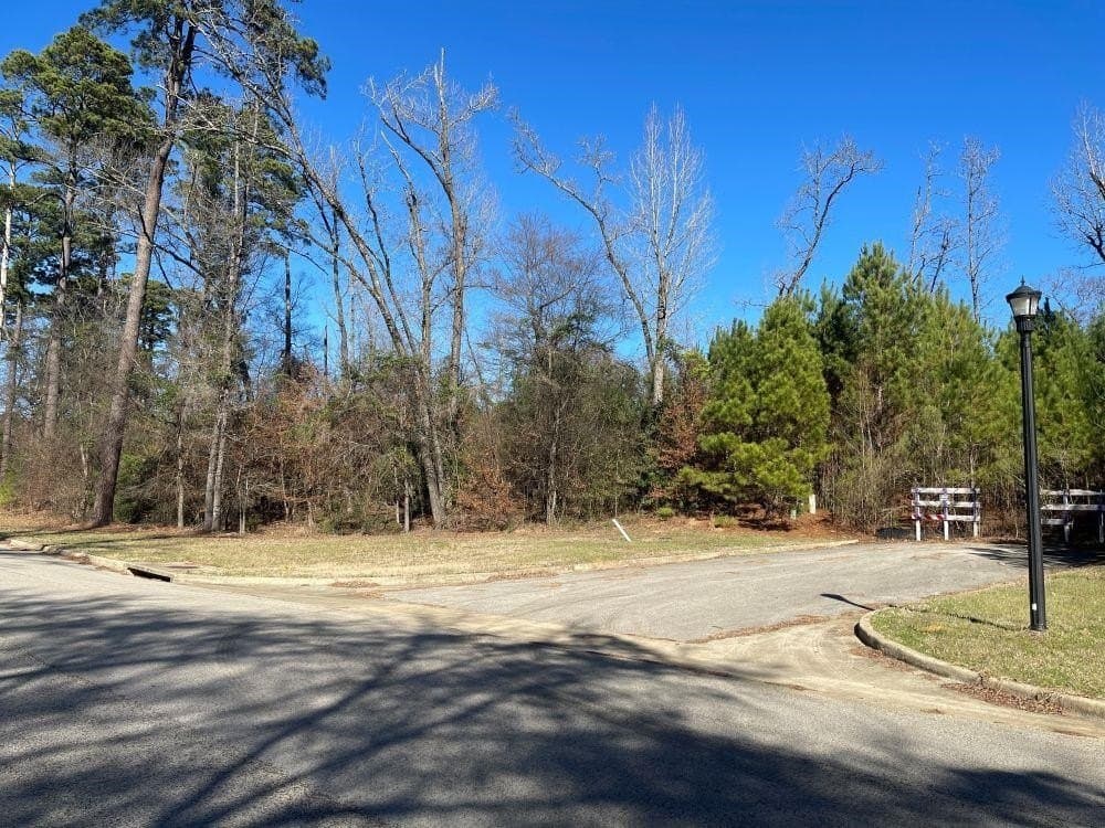 0.22 acres in Gregg County - photo 4