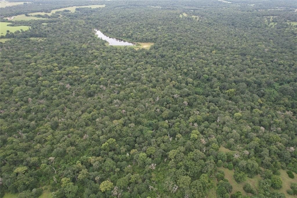 19.1 acres in Robertson County - photo 14
