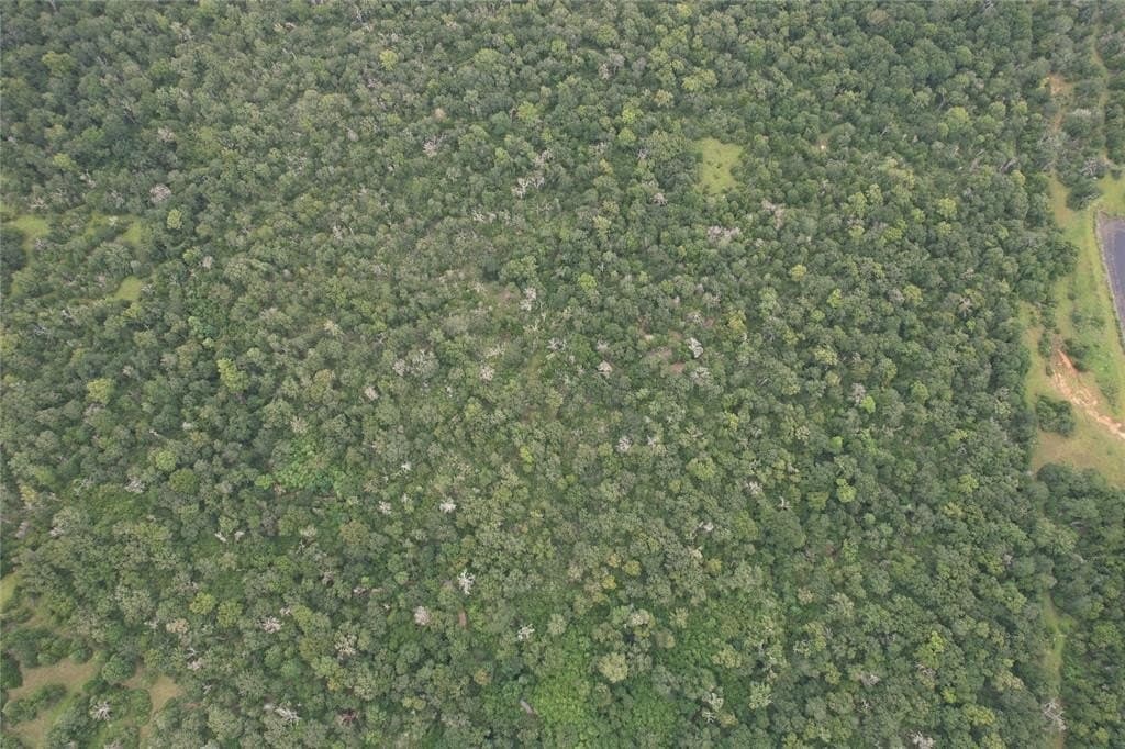 19.1 acres in Robertson County - photo 24