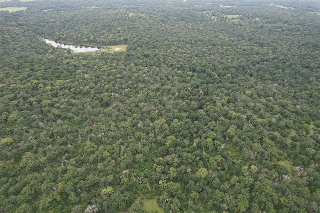 19.1 acres in Robertson County - photo 11