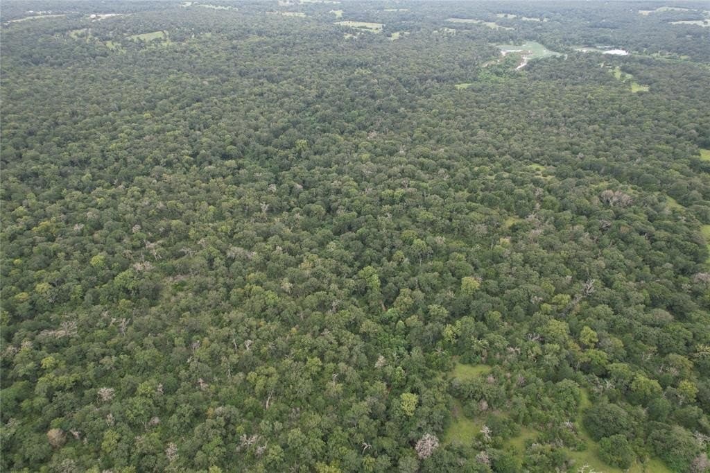 19.1 acres in Robertson County - photo 9