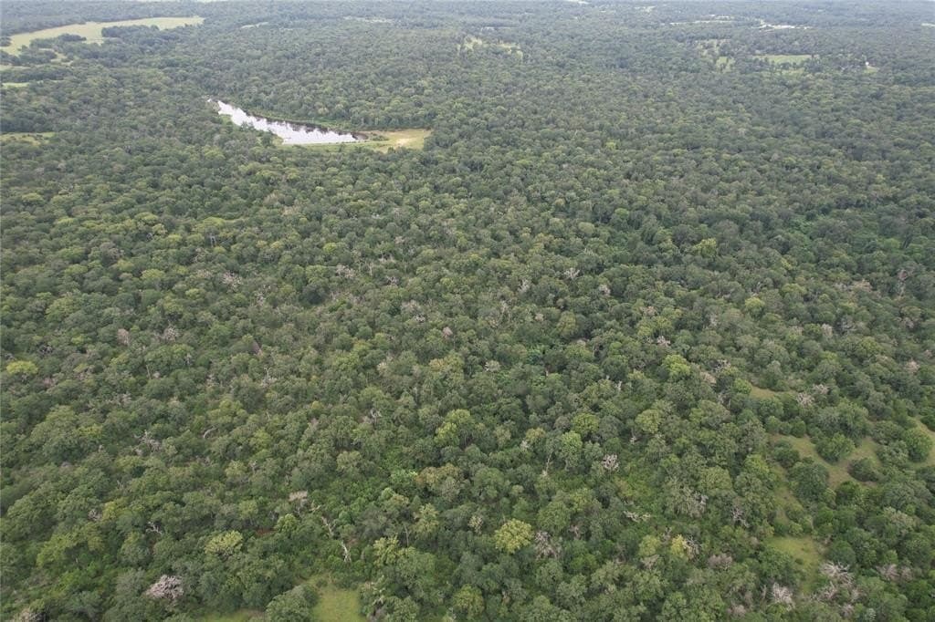 19.1 acres in Robertson County - photo 12