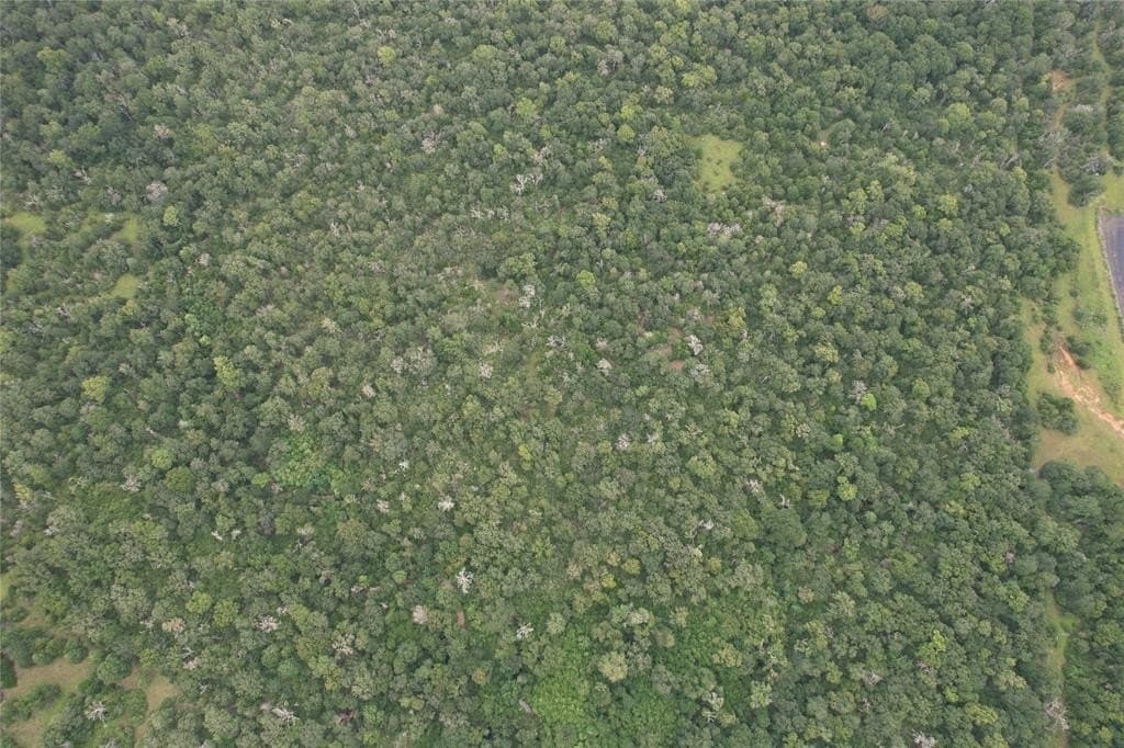 19.1 acres in Robertson County - photo 23
