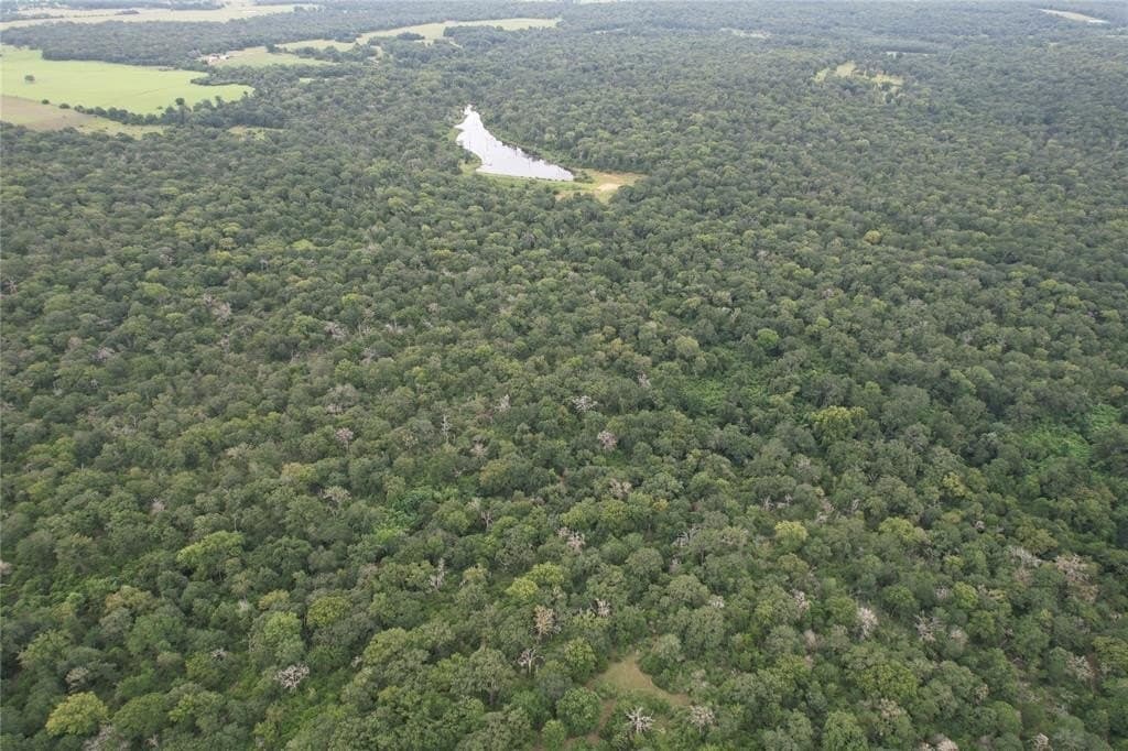 19.1 acres in Robertson County - photo 16