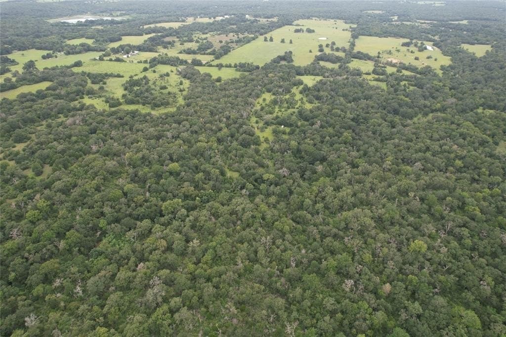 19.1 acres in Robertson County - photo 5