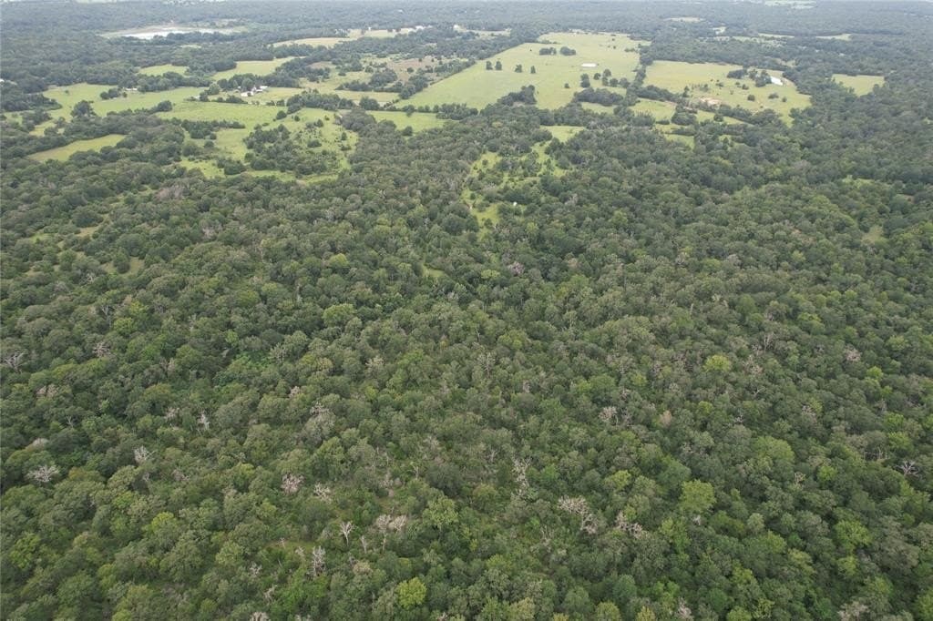 19.1 acres in Robertson County - photo 3