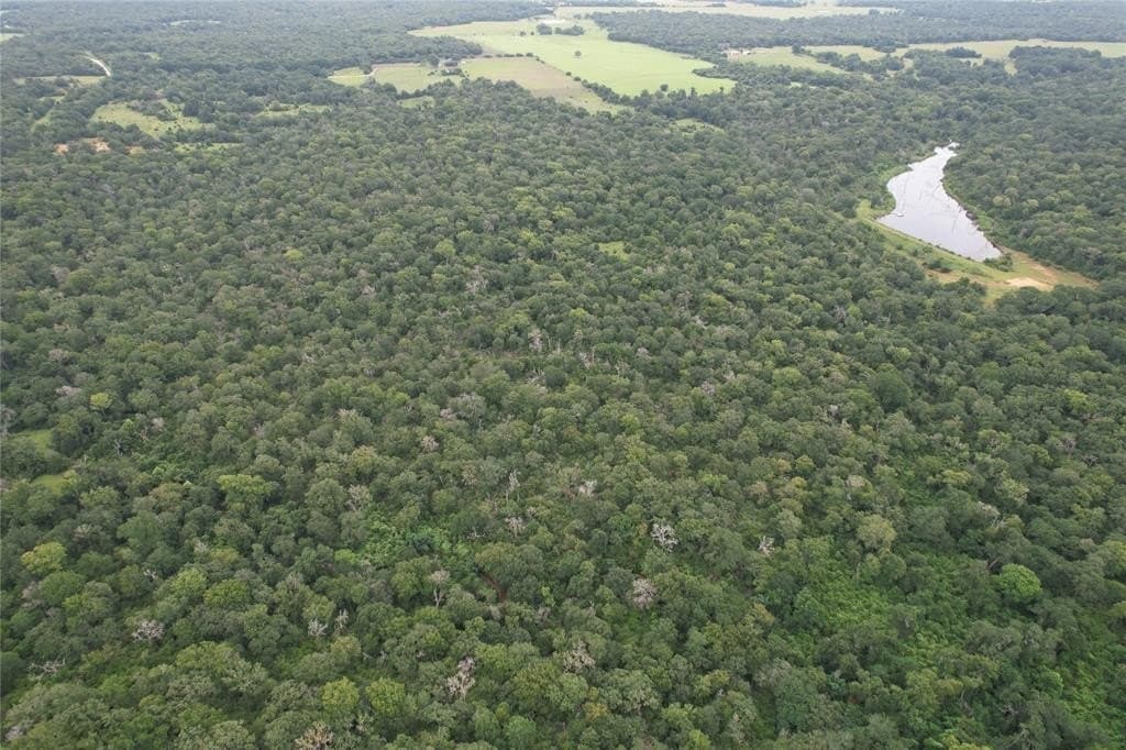 19.1 acres in Robertson County - photo 19