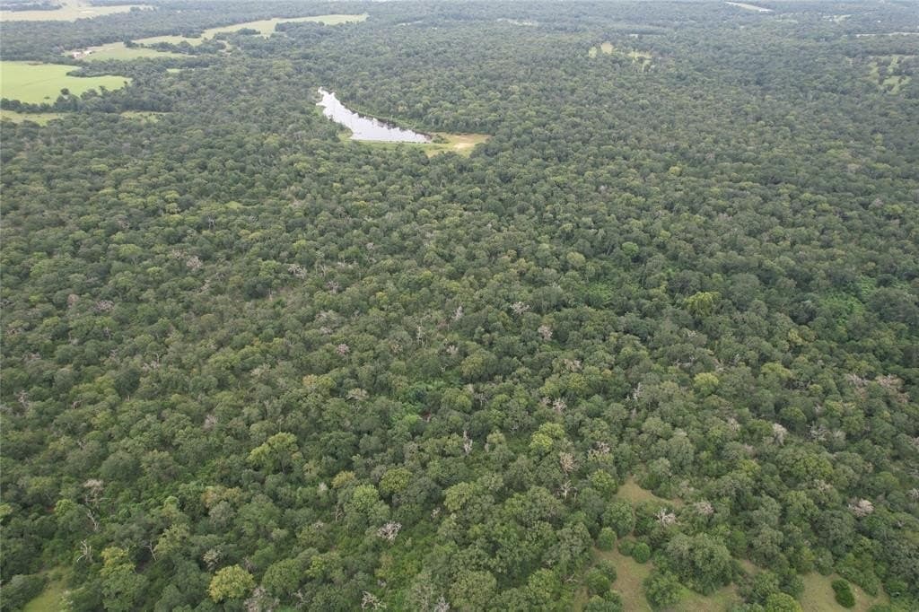 19.1 acres in Robertson County - photo 15