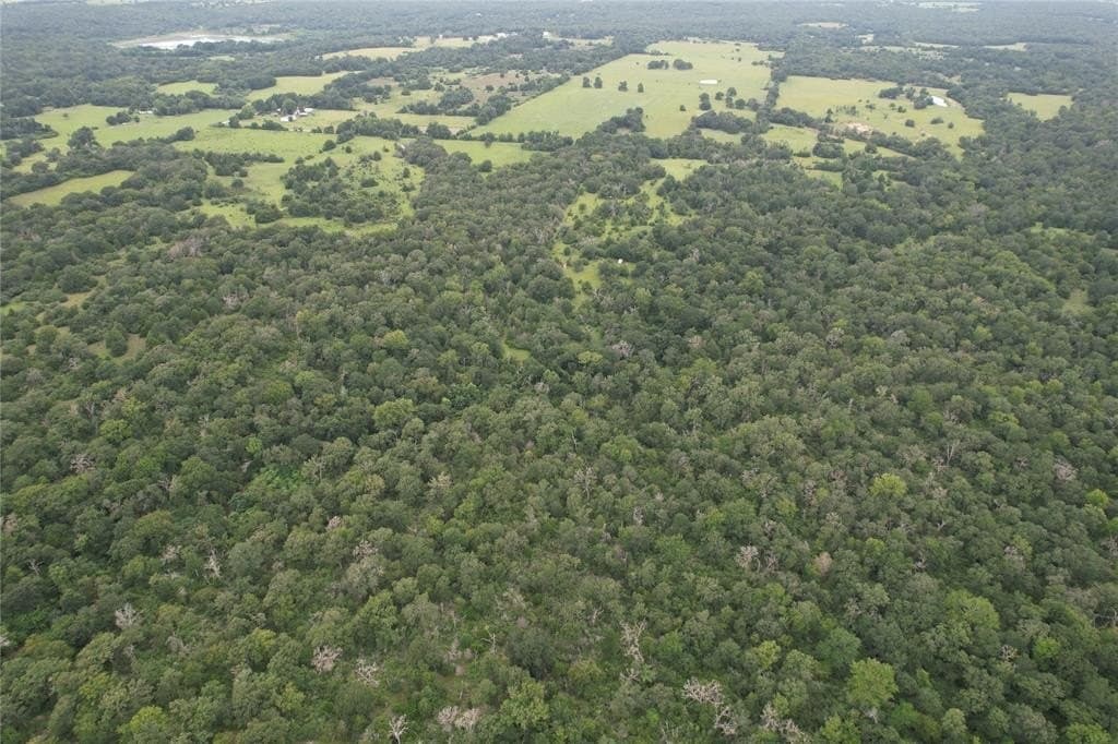 19.1 acres in Robertson County - photo 4